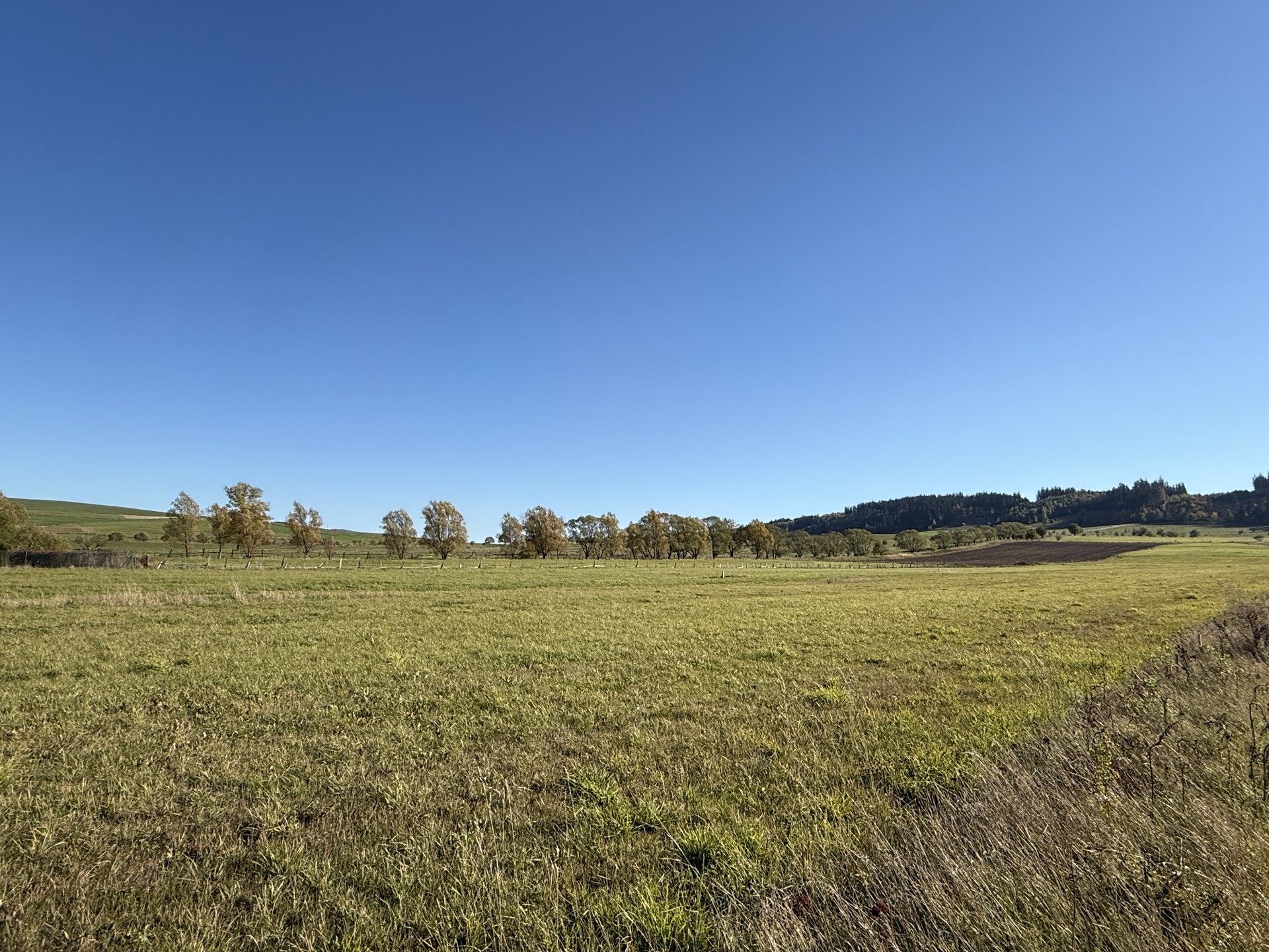 Zdjęcie nieruchomości Uniwest