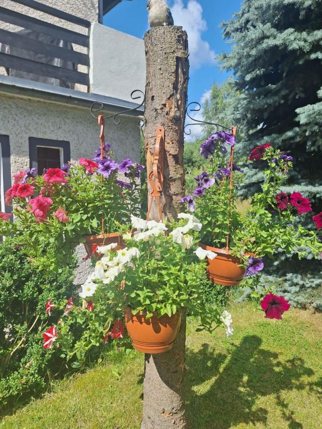 Miniatura zdjęcia nieruchomości